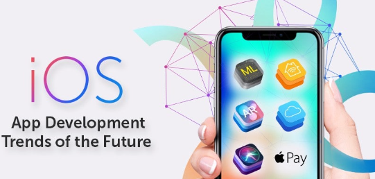 I will ios app developer android app iphone mobile app development