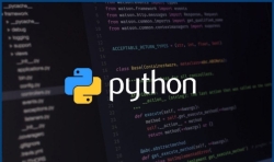 I will be your python programming tutor, beginner to advanced