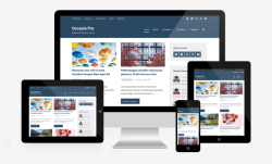 I will create a responsive wordpress website design